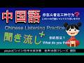 【中国語聞き流し＋】中国語で考えるリスニング練習《中国語シャワーChinese shower》必ず話せる中国語#中国語 #中国語リスニング #learnchinese