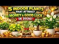 5 Indoor Plants That Attract Money Good Luck In 2026 