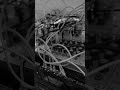 Buchla Tiptop Audio Modular Synth, KORG SQ-64, Boss RE-202 #ambient #modularsynth #dub