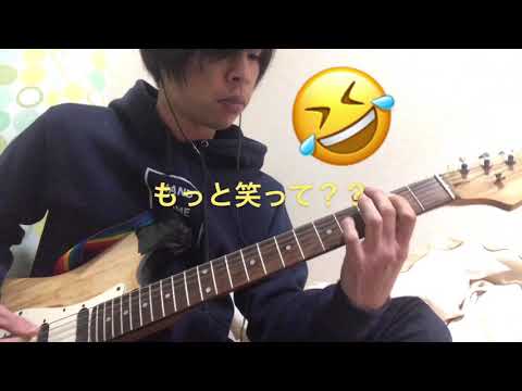 【弾いてみた】本人が『Honey』弾いてみた！！