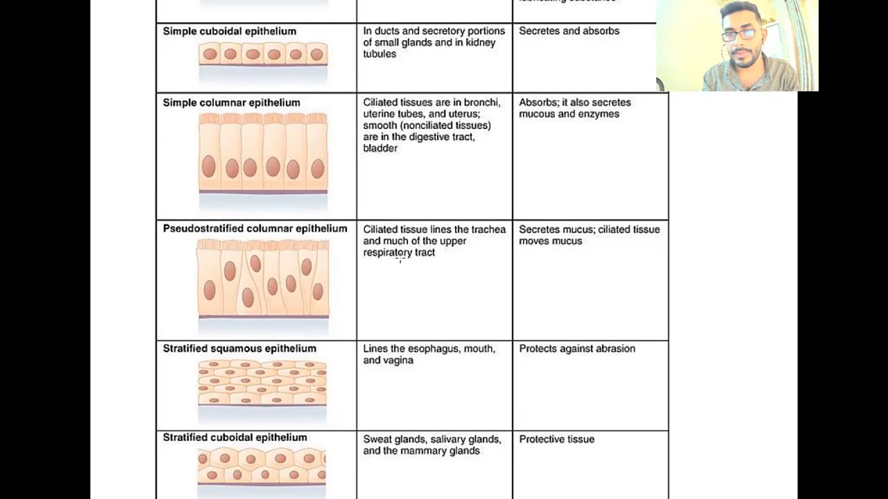 Biology Lec.1 Histology 