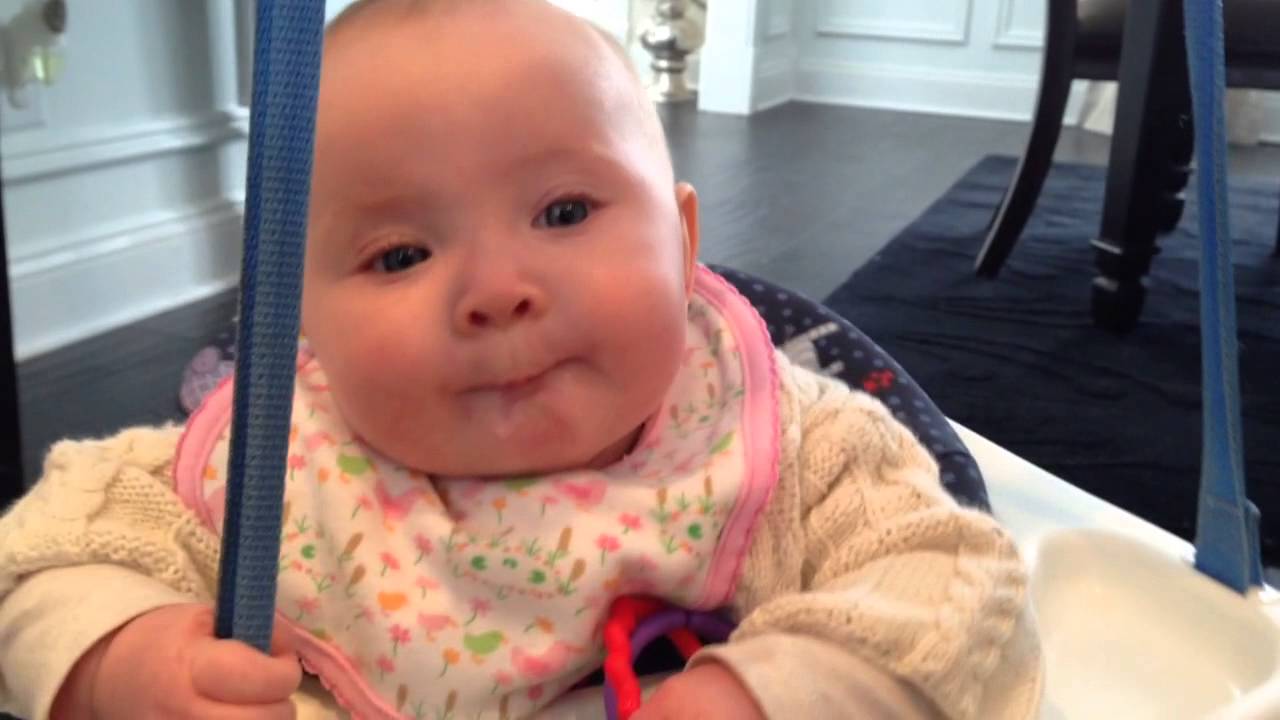 Baby elephant sounds YouTube