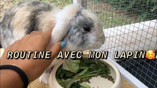 ROUTINE AVEC MON LAPIN | UNE JOURNEE ENTIERE AVEC NOUS!