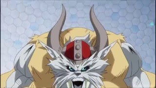Digimon Adventure Tri (Digievolucion de Gomamon)