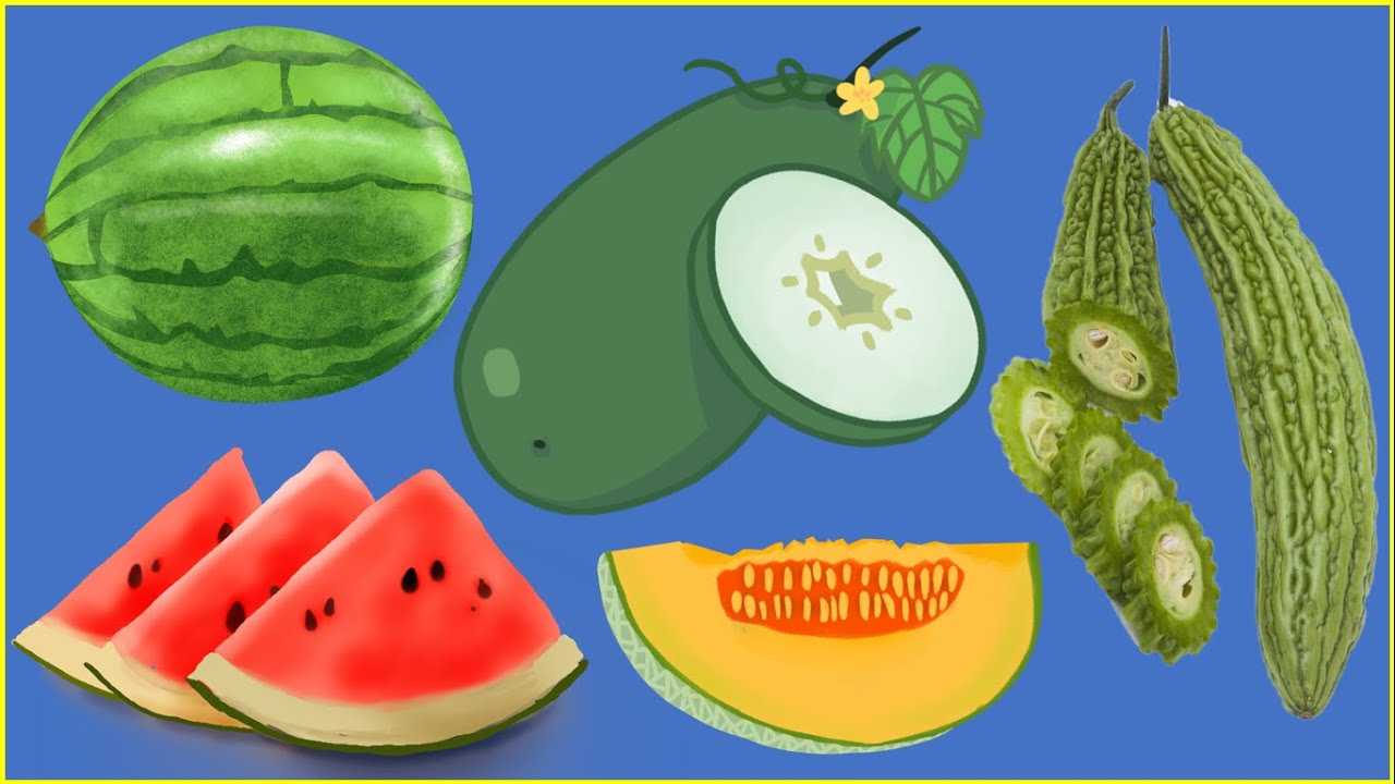 Are Melons Good for Trying to Lose Weight? Top 3 Reasons Why Melons
