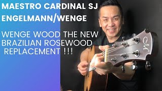 MAESTRO CARDINAL SERIES SJ Raffles WE E GUITAR REVIEW IN SINGAPORE