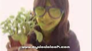 dodolook 2006 04 13 換
