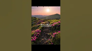 رب هب لي حكما وألحقني بالصالحين وأجعل لي لسان صدق في الأخرين وأجعلني من ورثة جنة النعيم واغفر لأبي 