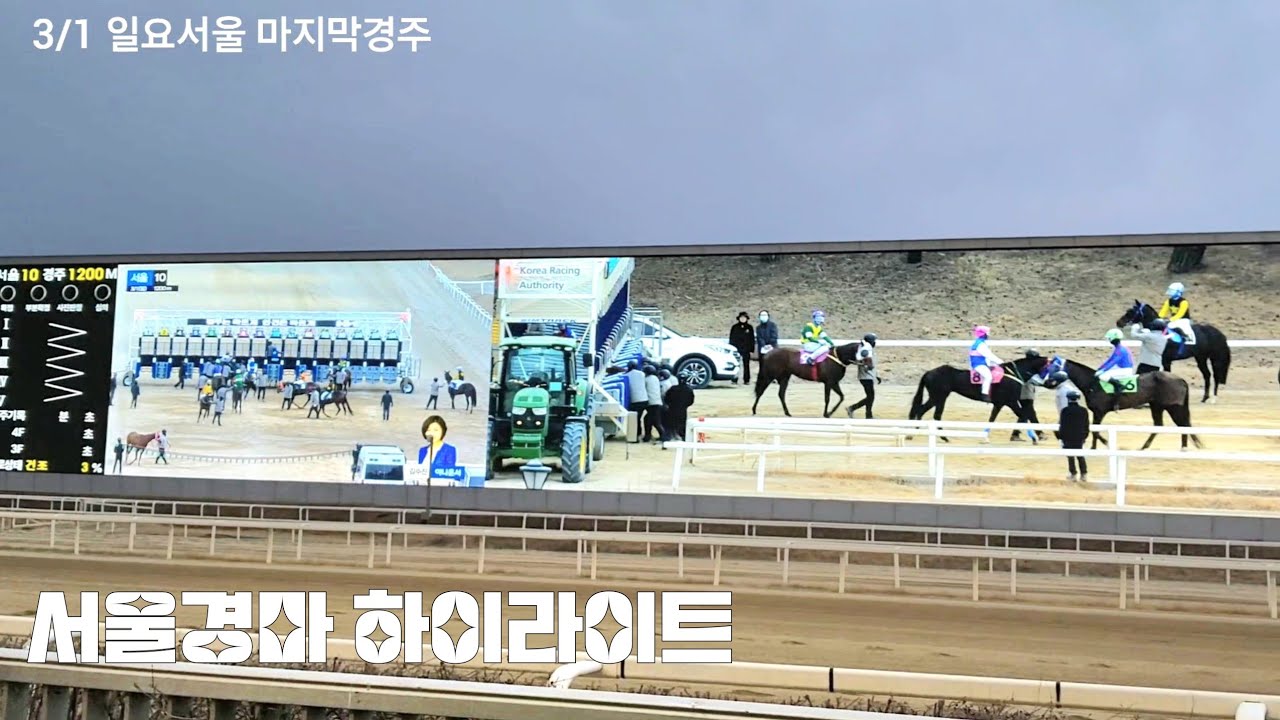 1년만에 나온 관악산스톰 들어오니 여성경마팬들 난리가 났어요^^