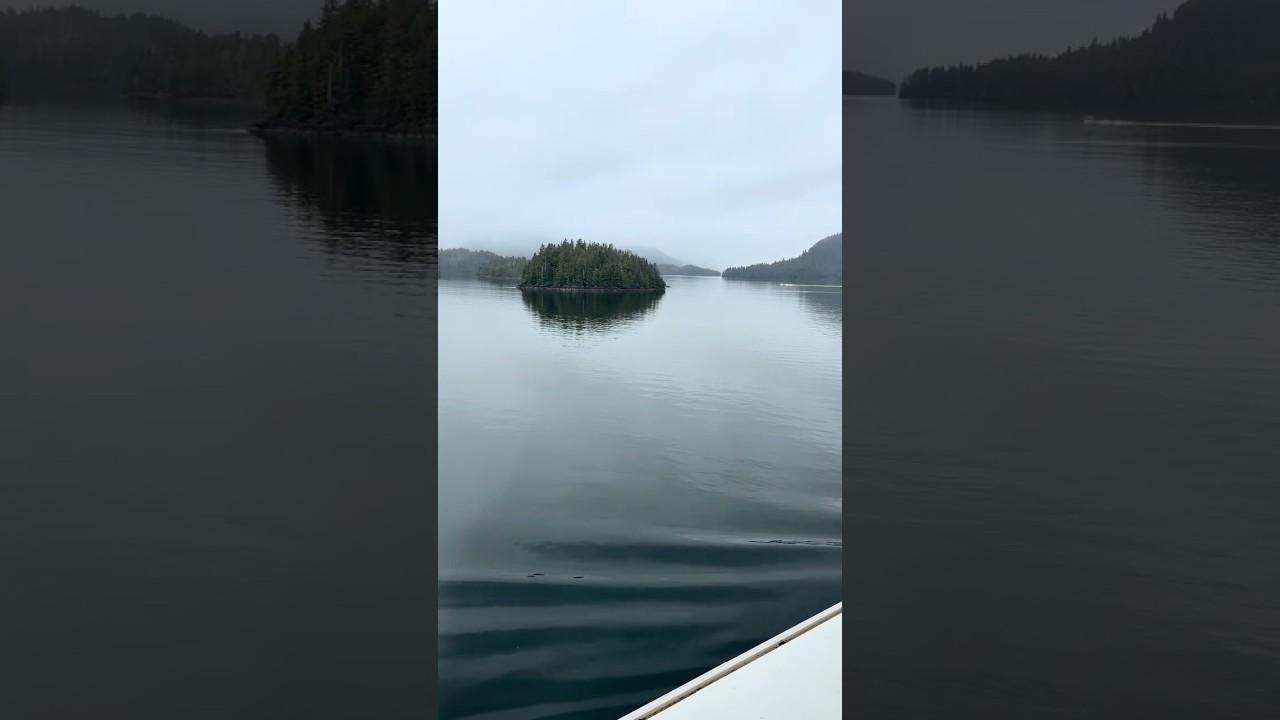 It was so calm and quiet cruising into Sitka, Alaska. #alaska #sitka #royalcaribbean