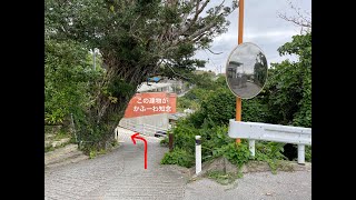 かふーわ知念アクセス動画   SD 480p