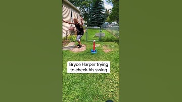 Bryce Harper checking his swing. #badnapoleon #mlbmemes #philliesbaseball