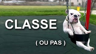 CLASSE PAS CLASSE  - PAROLE DE CHAT