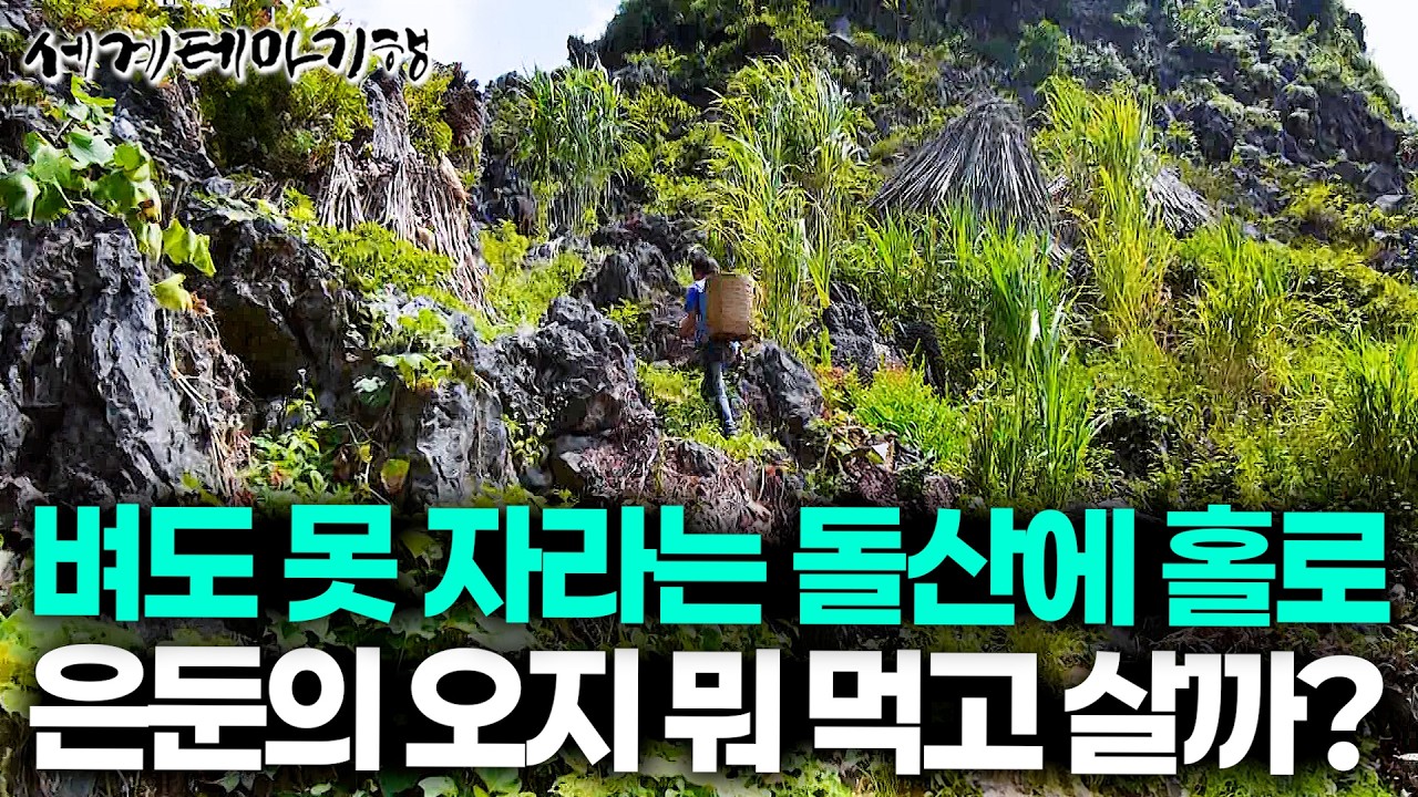 협곡 가장 높은 꼭대기! 사방이 온통 바위 뿐인 곳에 사는 고립 오지 사람들은 뭐 먹고 살까? 직접 가봤더니 | 세계테마기행 | 