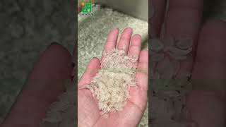 SHENGRUN Nutritional Rice Production Equipment – Produce Healthier Rice, Expand Your Market #machine