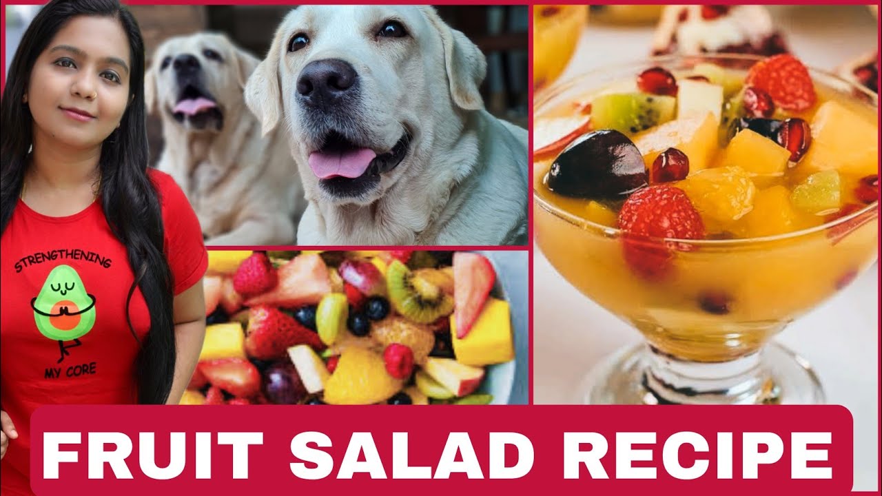 Fruit Salad For Dogs | Dog Food Recipe | Vlogger Aswani | Pet Vlogs ...