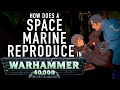 40 Facts and Lore on Can Space Marines Reproduce and Have Families in Warhammer 40K