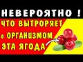 КЛЮКВА Вытворяет с Организмом ТАКОЕ !  Вам ОБЯЗАТЕЛЬНО НАДО ЭТО ЗНАТЬ !