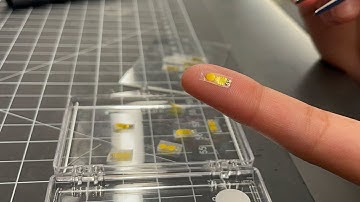 First device to spot organ transplant rejection