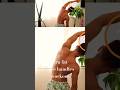 Easy bra fat and love handles workouts #backworkoutathomenoequipment #shorts