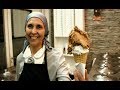 | Màs helados Veganos | Fabrica de Helados | Heladeria Bali |