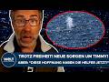 WAL TIMMY IST FREI: Neue Sorgen um den Buckelwal! Aber: "Diese Hoffnung haben die Helfer jetzt!"
