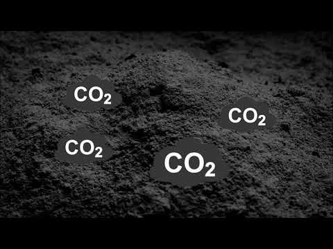 Is Hemp the Future of Cleaning CO2 From Our Air?