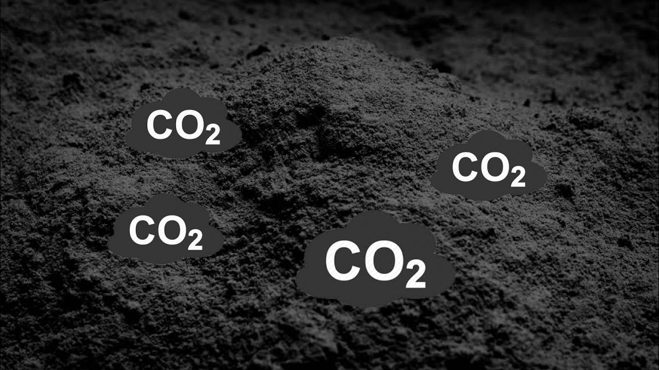 Is Hemp the Future of Cleaning CO2 From Our Air?