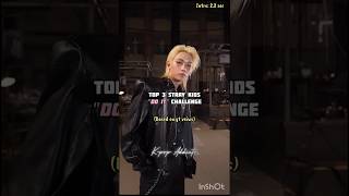 Top 3 Stray Kids Do It Challenge