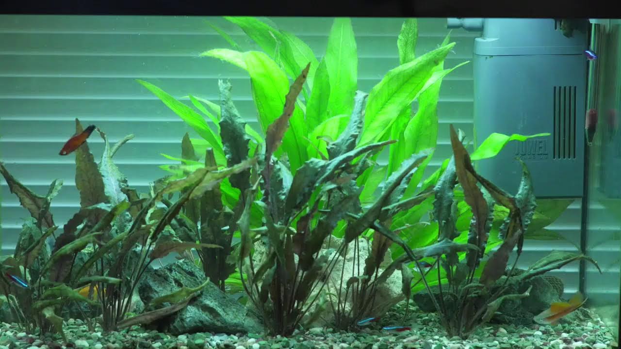 Direktesending fra Vestfold Lydstudio