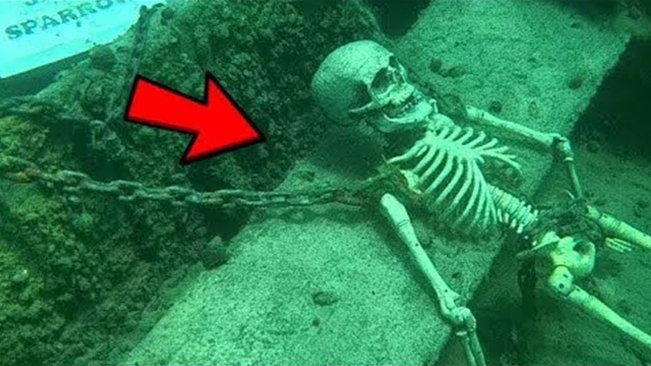 Deep Sea Camera Captures What No One Was Supposed to See