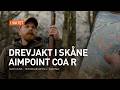 Drevjakt i Skåne I Aimpoint Coa R