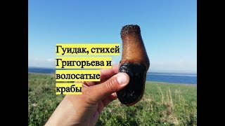 Гуидак, стихей Григорьева и волосатые крабы / Digging for Geoduck