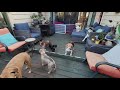 20211125 Happy Thanksgiving from Hayden Dog Boarding 151752