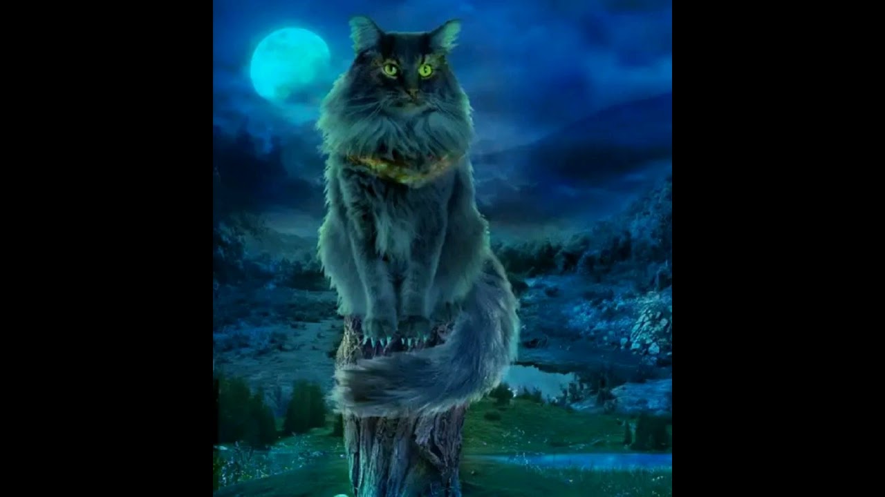 Кот баюн кто это