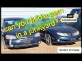 Can you find a gem in a junkyard?