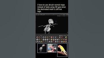 Set up Substance Painter #3d #anatomy #blender #3dmodeling #zbrush #sculpting