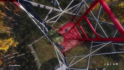 Falling up the ladder || DayZ || PS4