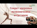 Секрет здоровья позвоночника и суставов