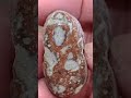 Leopard Skin Jasper Found in the Desert