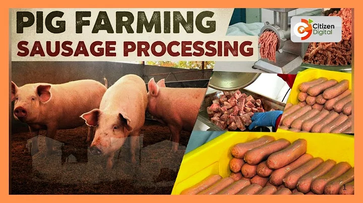 Kenya's Gold feature | Sausage processing in Kenya