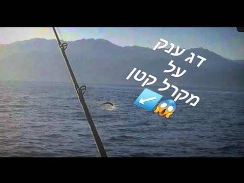 וִידֵאוֹ: מה לתפוס דגי ברמה בחודש מרץ