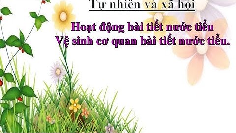 Tự nhiên xã hội: Hoạt động bài tiết nước tiểu. Vệ sinh cơ quan bài tiết nước tiểu.