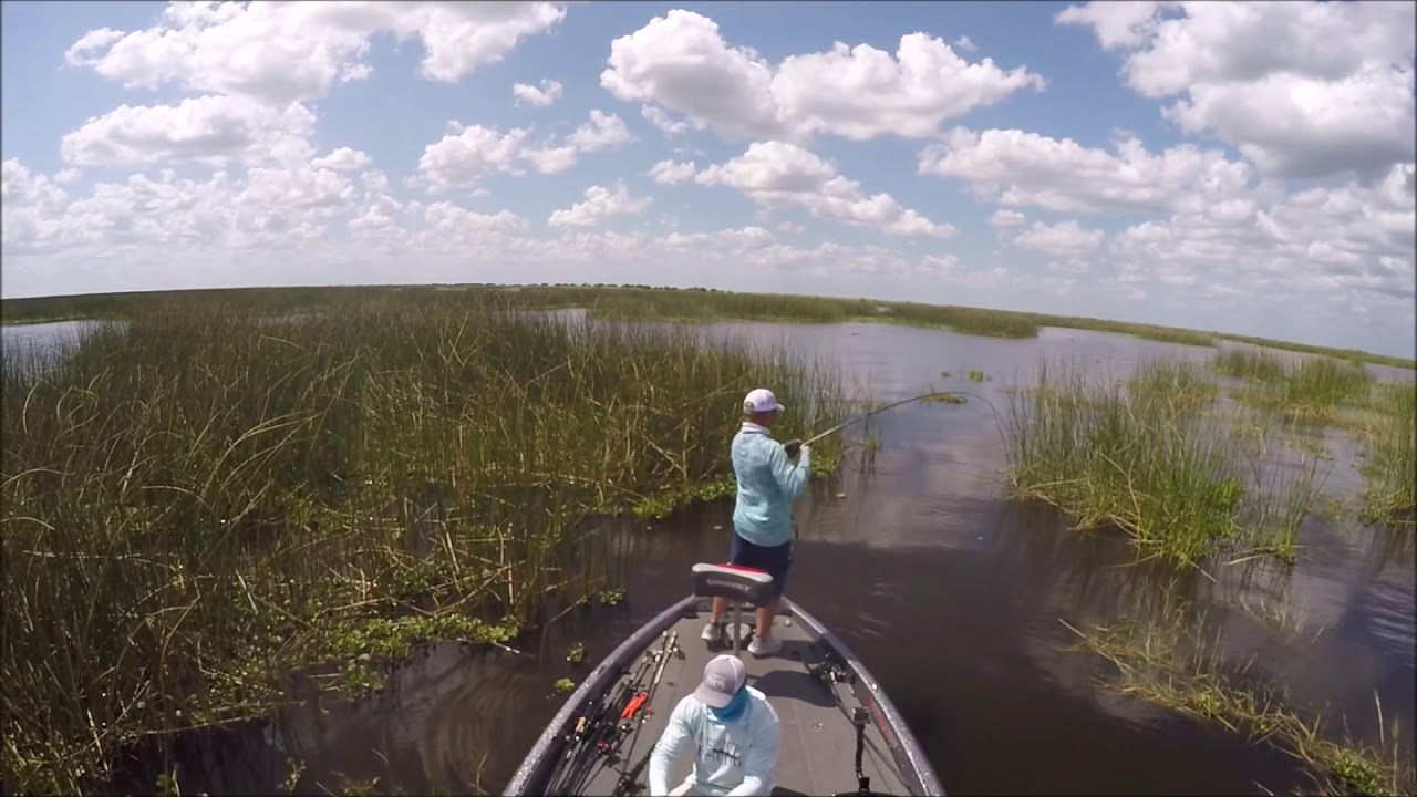 Fishing lake Okeechobee 5.5lber YouTube