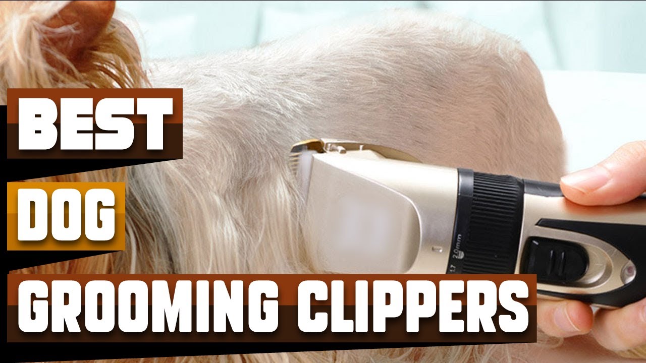 Best Dog Grooming Clipper In 2021 Top 10 Dog Grooming Clippers Review