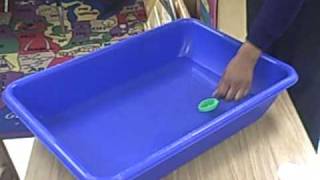 Science Lesson on Sink or Float