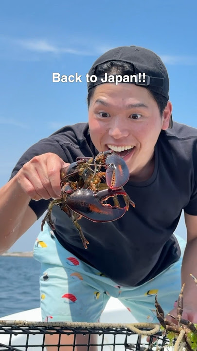 Catch a lobster with @NickDiGiovanni 🦞