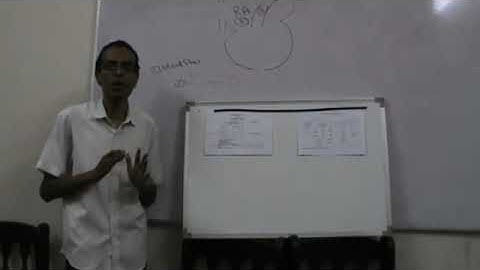Physiology CVS Hemorrhage and Shock Dr Mohamed Fayez