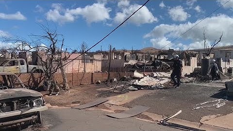 Indiana Task Force 1 deploys to Maui