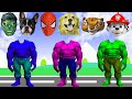 Wrong Heads Top Superheroes Puzzle COCOMELON- Meme Coffin Dance COVER Astronomia